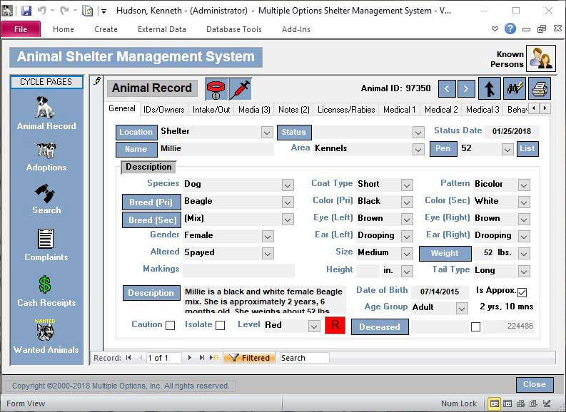 screenshot of Shelter Management System